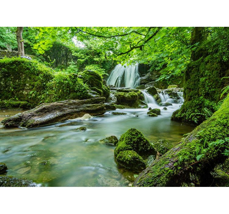 Fototapet natura cascada luxuriantă liniștitoare - TenStickers