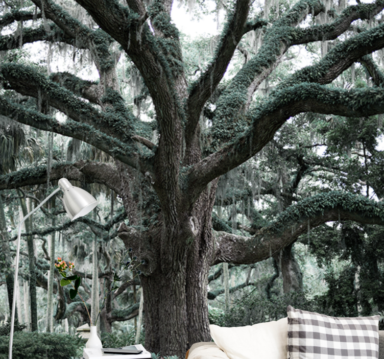 Arbori fototapet crengi maiestuoase de stejar - TenStickers