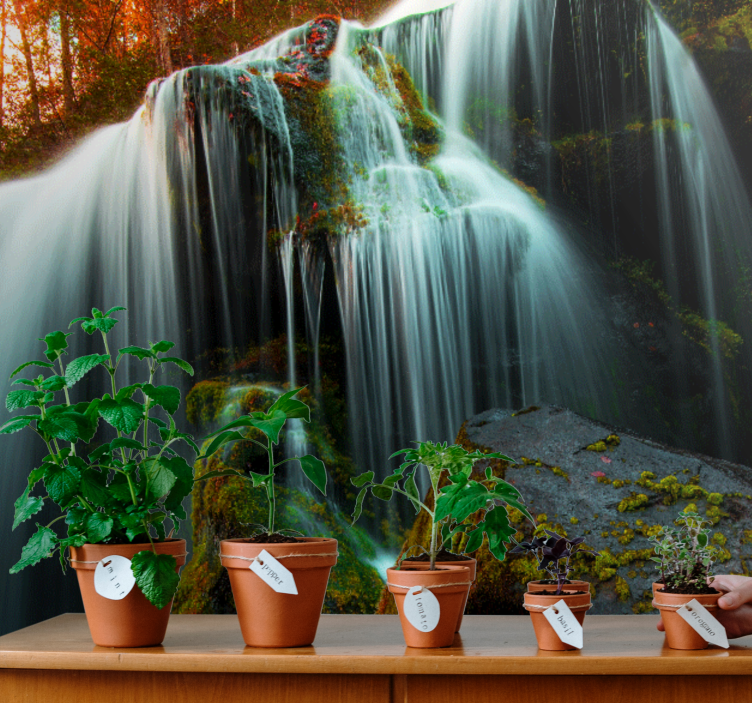 Cascadele fototapet apă care coboară ușor - TenStickers