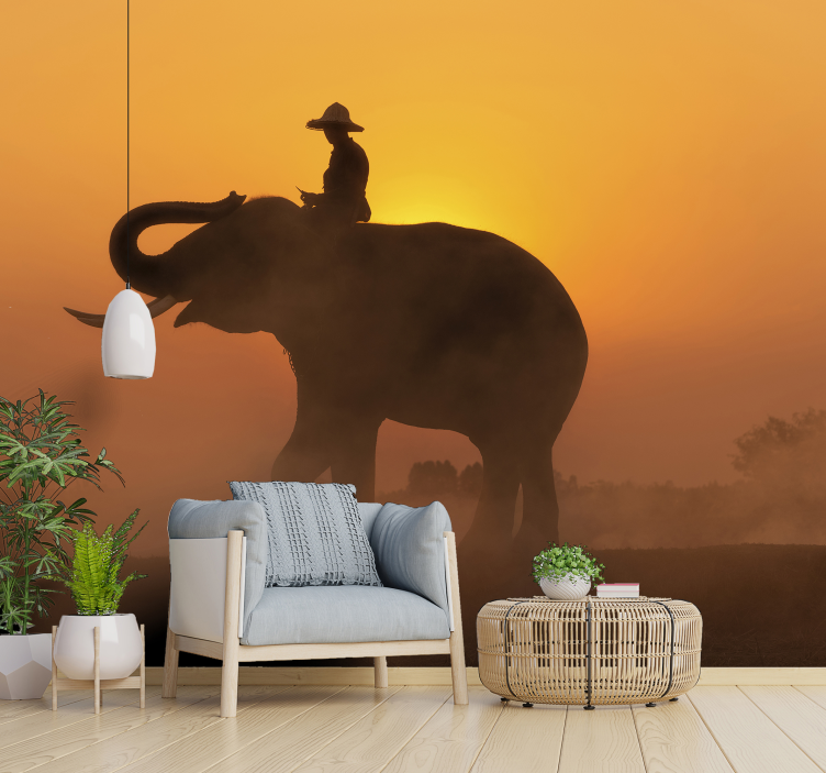 Elefant asiatic la apusul mural mural - TenStickers
