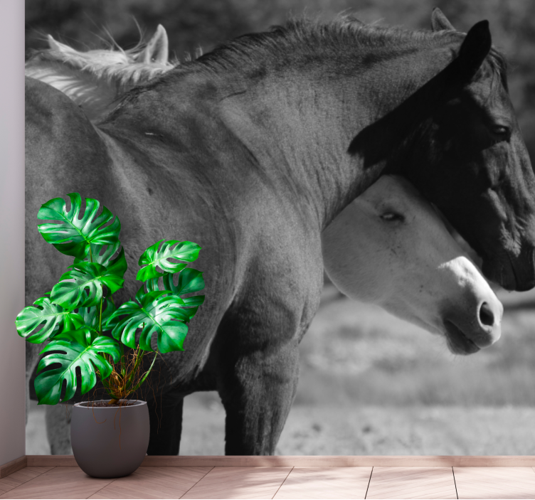 Fototapet animale companionship cu cai - TenStickers