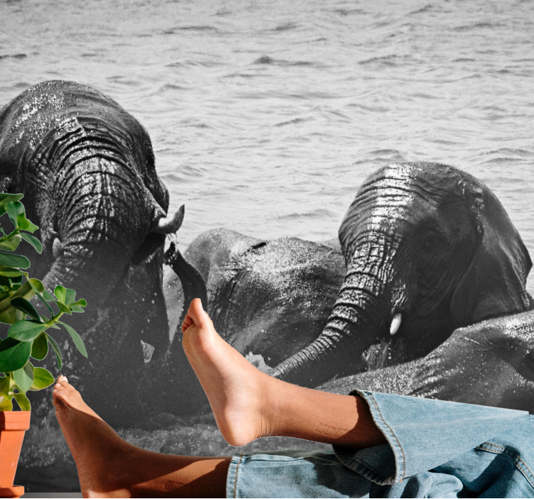 Fototapet animale elefanți în lichid - TenStickers