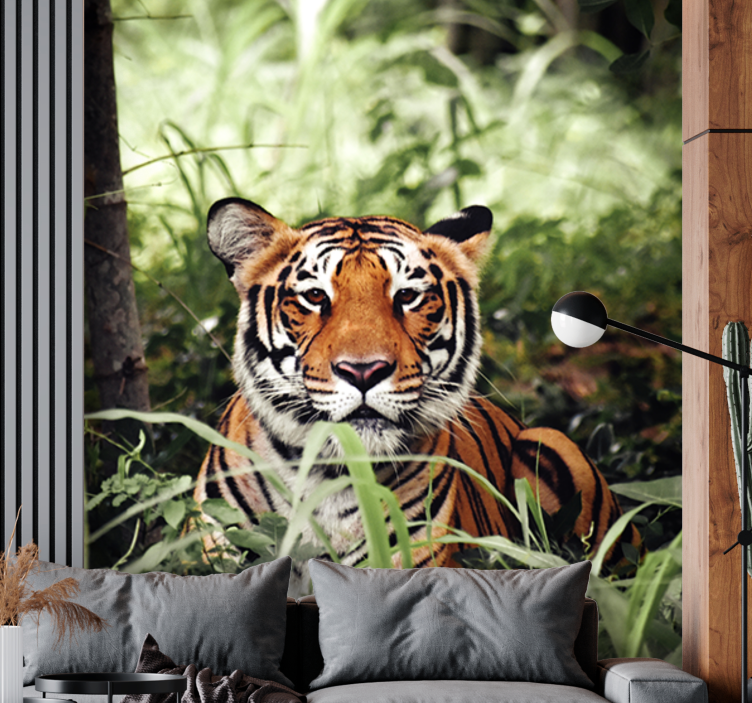 Fototapet animale experiența tigru regal - TenStickers