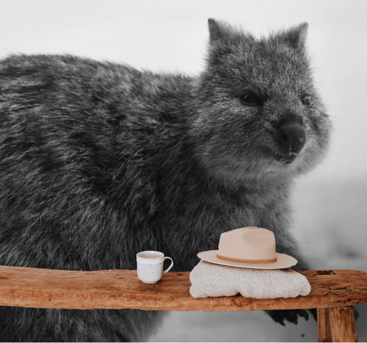 Fototapet animale expresie de wombat în prim-plan - TenStickers