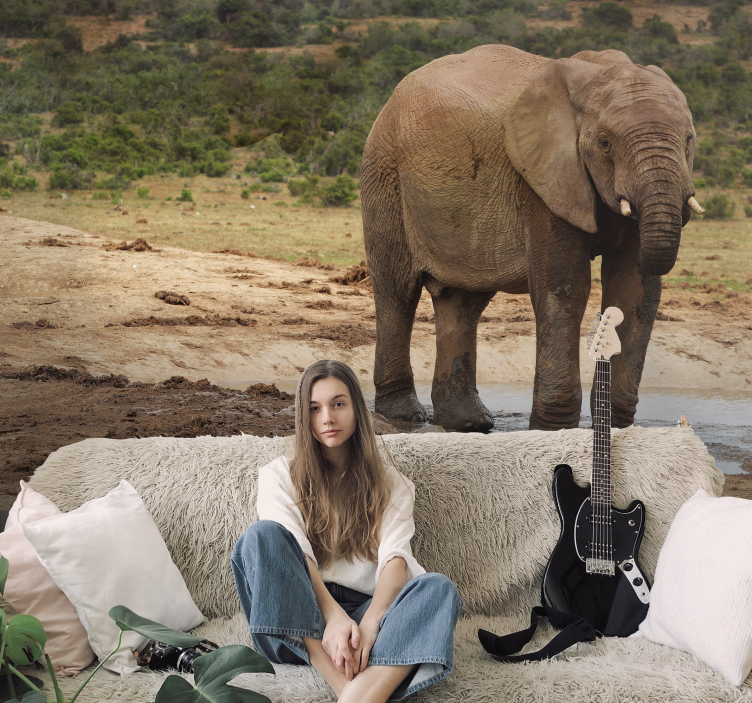 Fototapet animale întâlnire cu elefanți - TenStickers