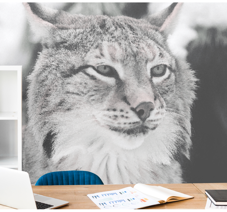 Fototapet animale lynx cu privire intensă - TenStickers