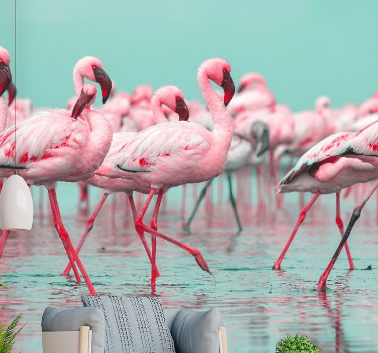 Fototapet animale pășirea flamingo-urilor - TenStickers