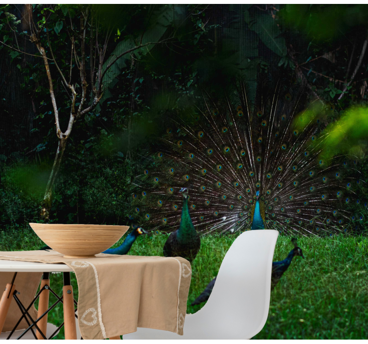 Fototapet animale păun cu pene desfăcute - TenStickers