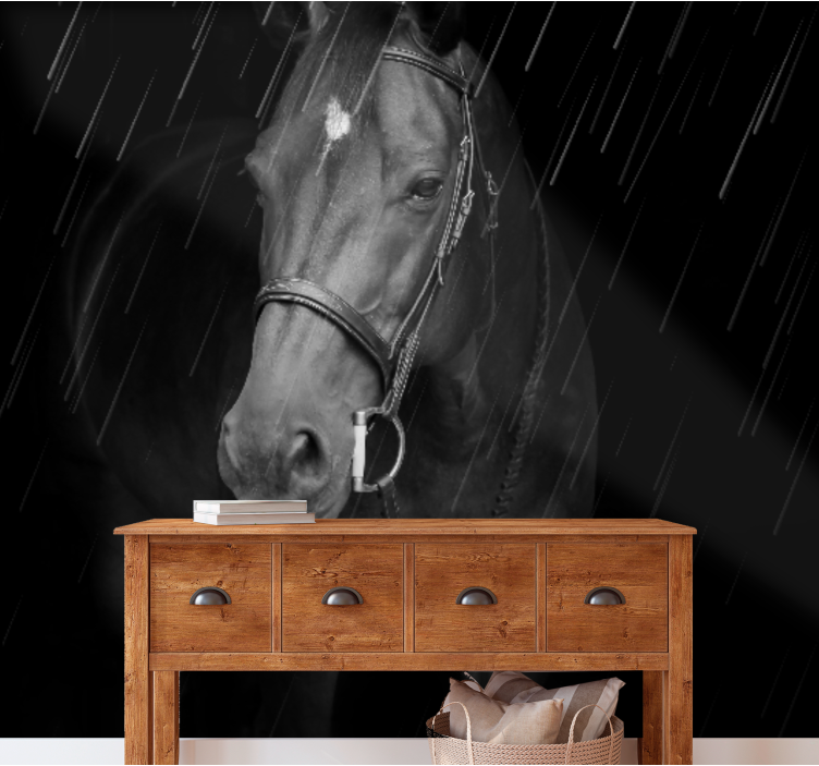 Fototapet animale portret regal de cai - TenStickers