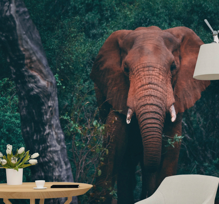 Fototapet animale prezența unui elefant majestic - TenStickers