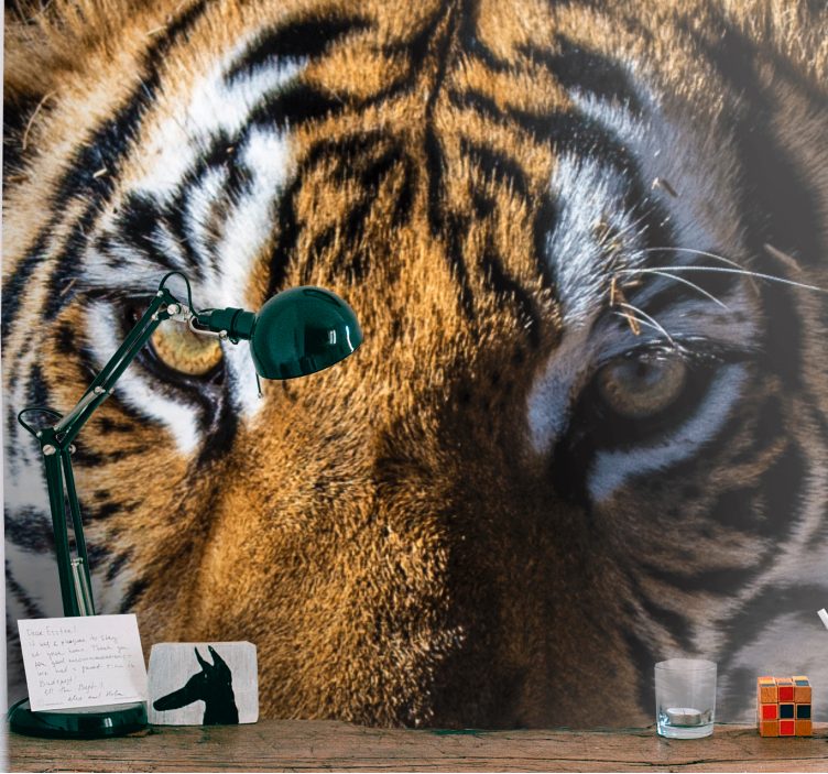 Fototapet animale prim-plan cu tigru magnific - TenStickers