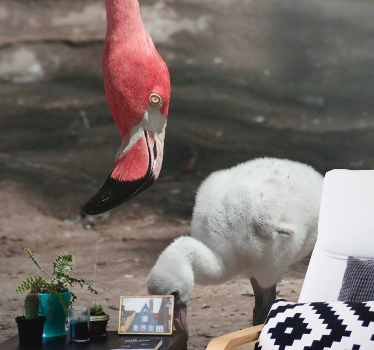 Fototapet animale pui de flamingo - TenStickers