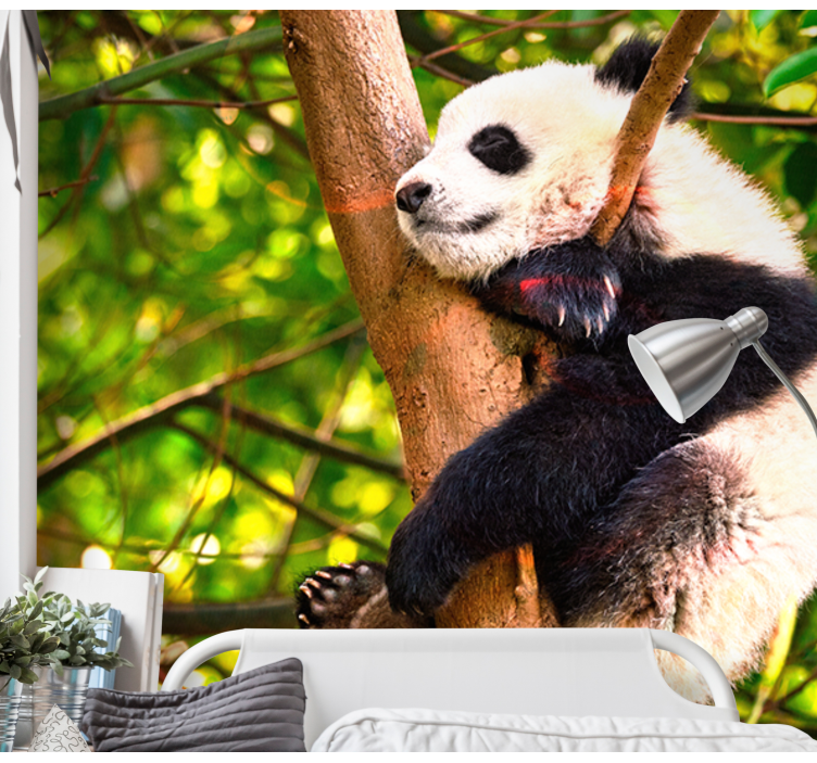 Fototapet animale pui de panda relaxant - TenStickers