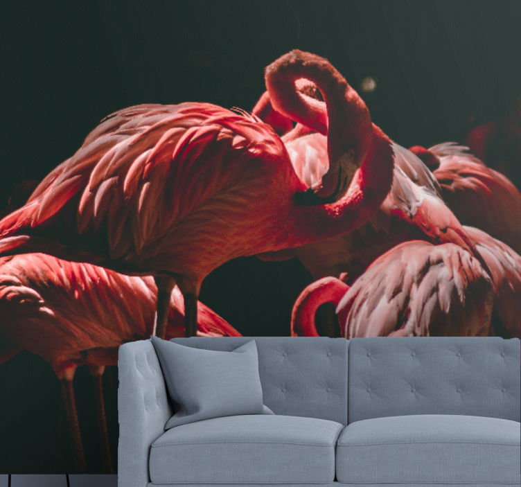 Fototapet animale serenitate cu flamingo - TenStickers