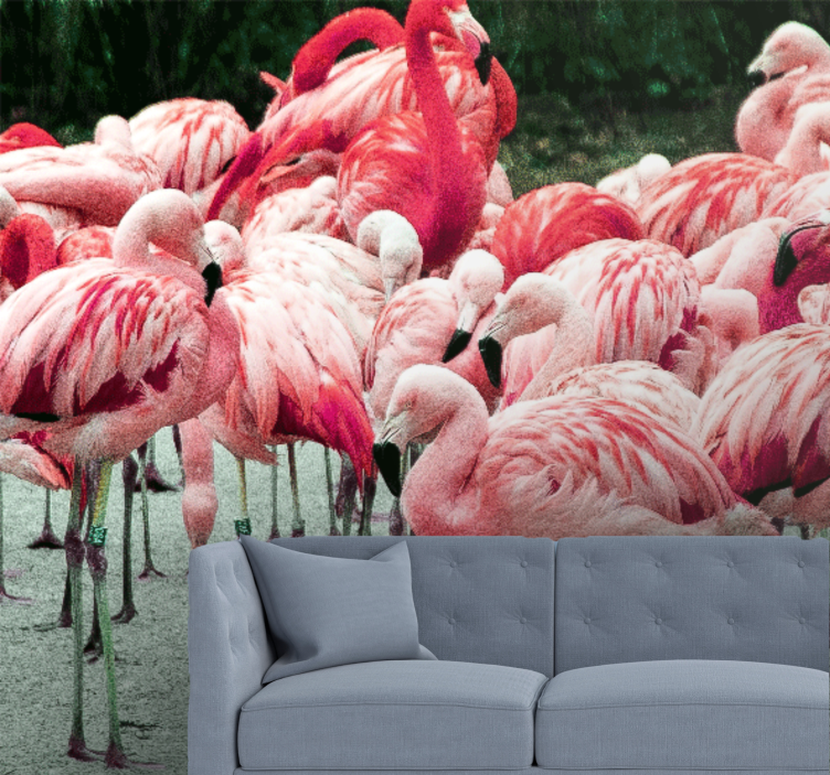 Fototapet animale stol de flamingo - TenStickers