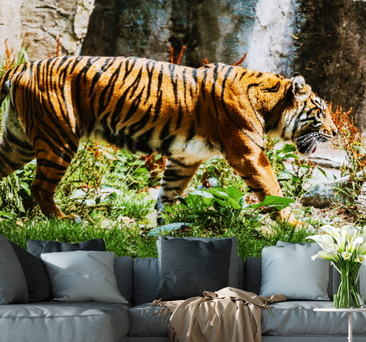 Fototapet animale tigru majestuos în mers - TenStickers