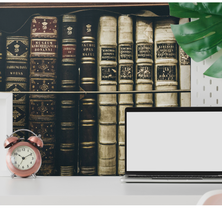 Fototapet artă clasică colecție rafturi antice - TenStickers