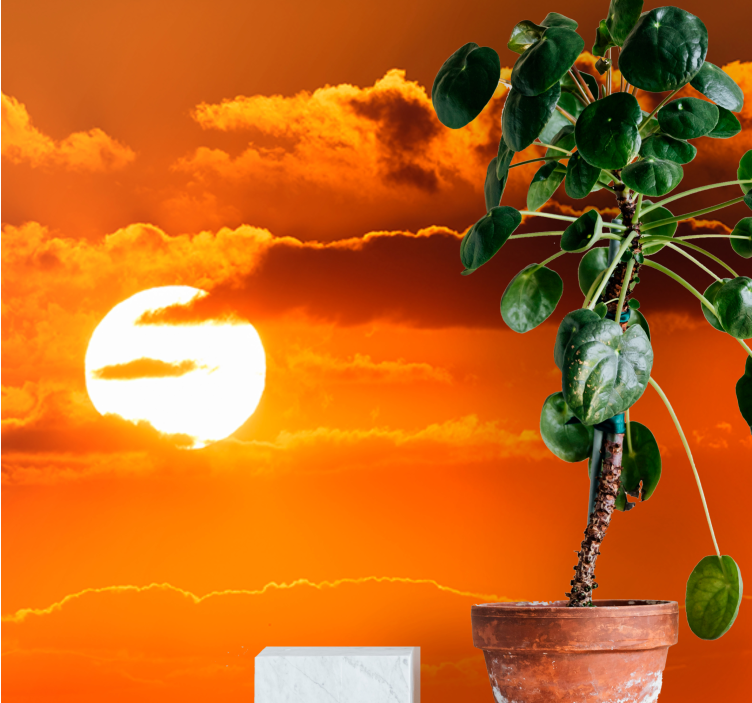 Fototapet cerul apus peste nori - TenStickers