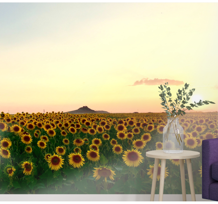 Fototapet cu flori câmp de floarea-soarelui la amurg - TenStickers