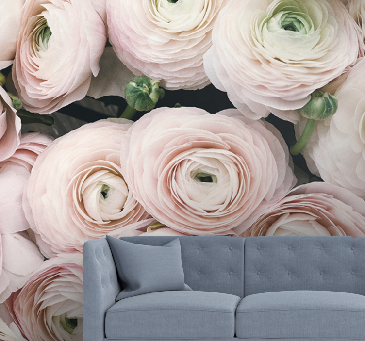 Fototapet cu flori flori delicate de ranunculus - TenStickers