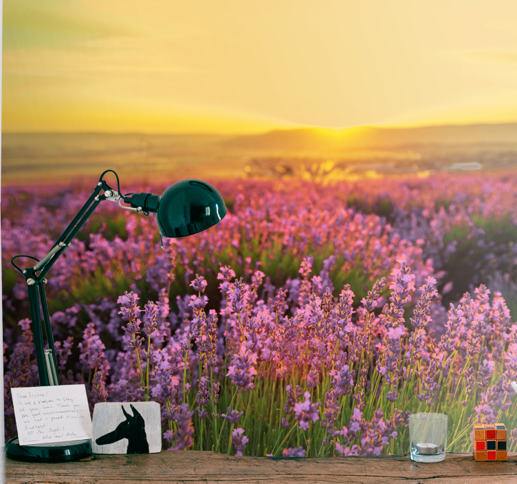 Fototapet cu flori pajiște de lavandă la amurg - TenStickers