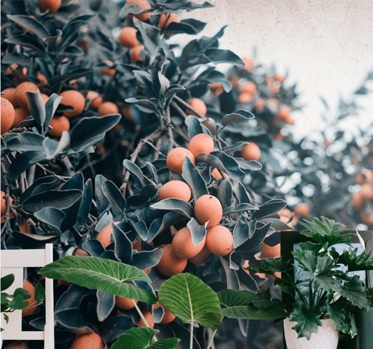 Fototapet cu flori ramă de citrice - TenStickers