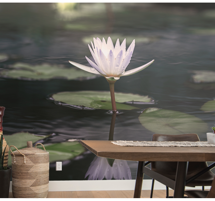 Fototapet cu flori reflecție de floare de lotus - TenStickers