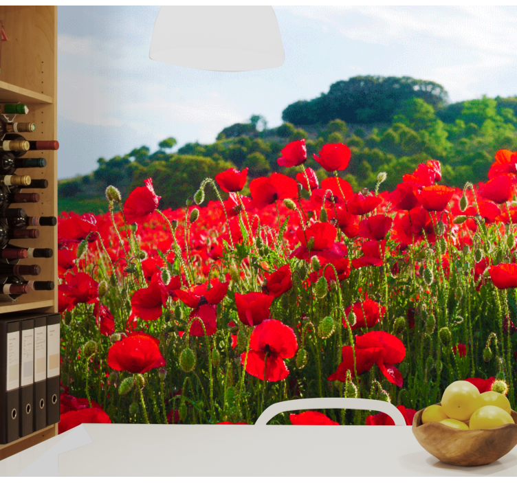 Fototapet maci câmp cu maci roșii - TenStickers