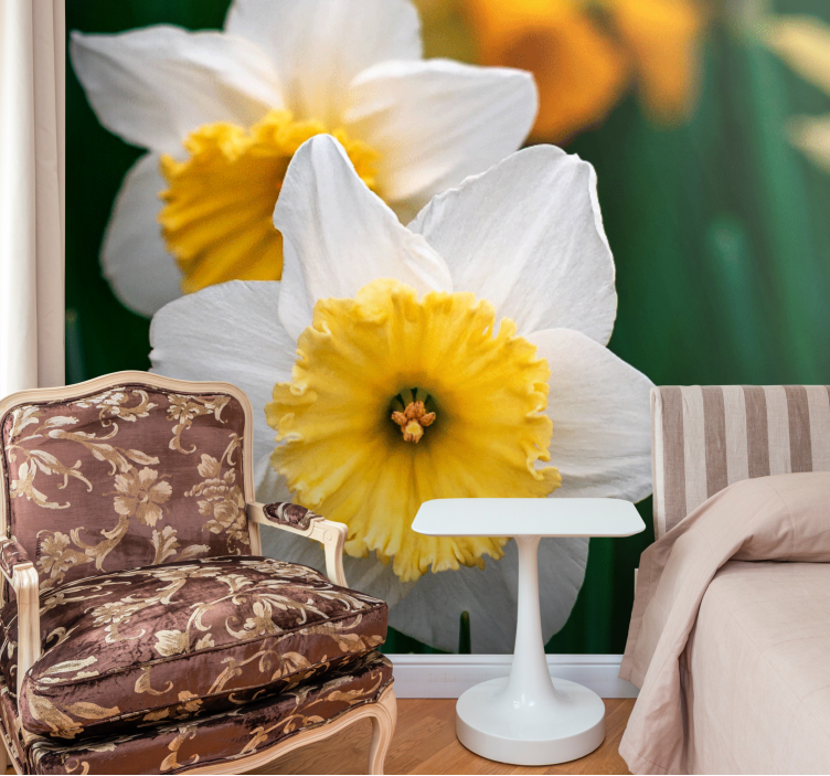 Fototapet maci eleganța înfloririi narciselor - TenStickers