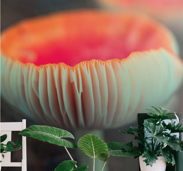 Fototapet maci flori de mac elegante - TenStickers