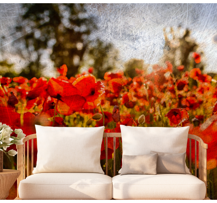 Fototapet maci flori de mac în câmp - TenStickers