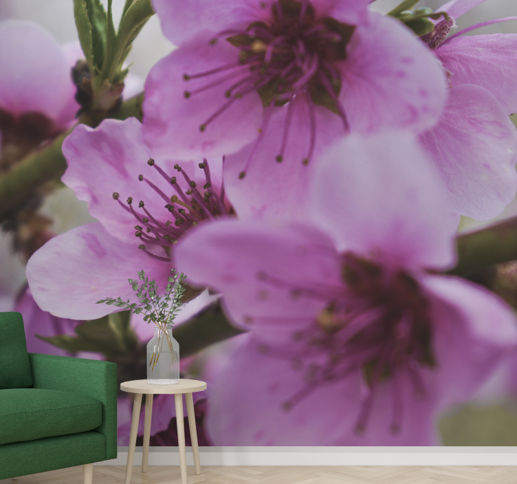 Fototapet maci flori roz strălucitoare - TenStickers