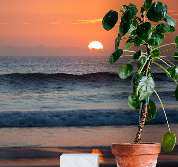 Fototapet mare orizont ocean apus de soare - TenStickers