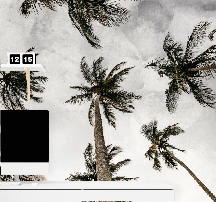 Fototapet natura acoperiș de palmier - TenStickers