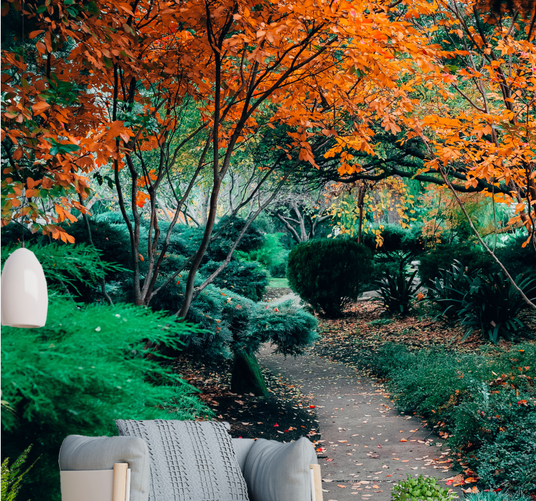 Fototapet natura aleile printre copaci - TenStickers