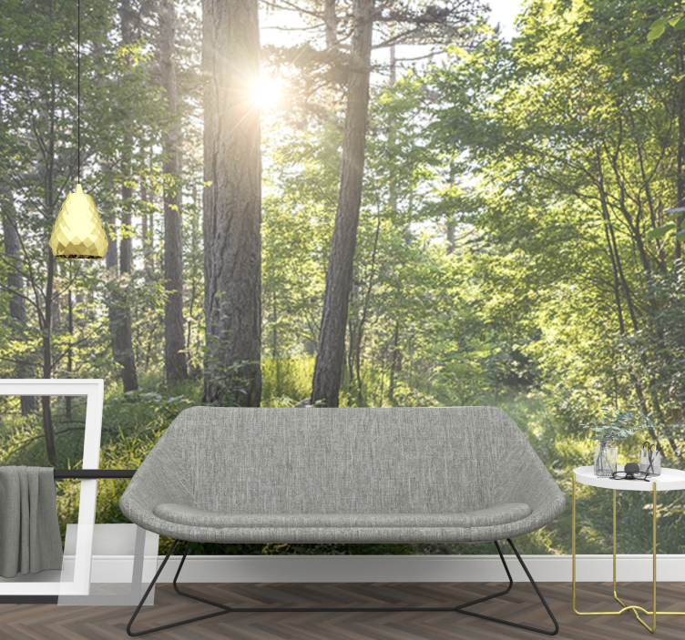 Fototapet natura calea luminată a pădurii - TenStickers