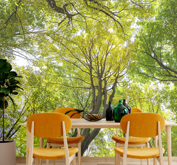 Fototapet natura canopy de pădure luxuriantă - TenStickers