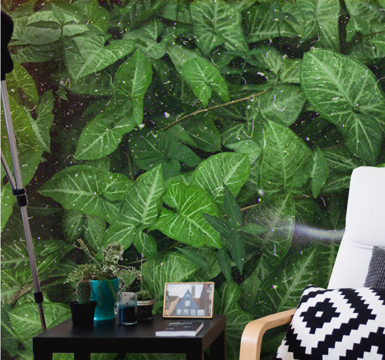 Fototapet natura compoziție de frunze vii - TenStickers