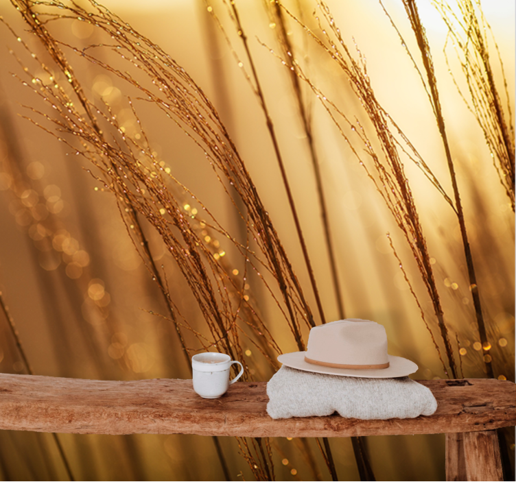 Fototapet natura iarbă aurie blândă - TenStickers