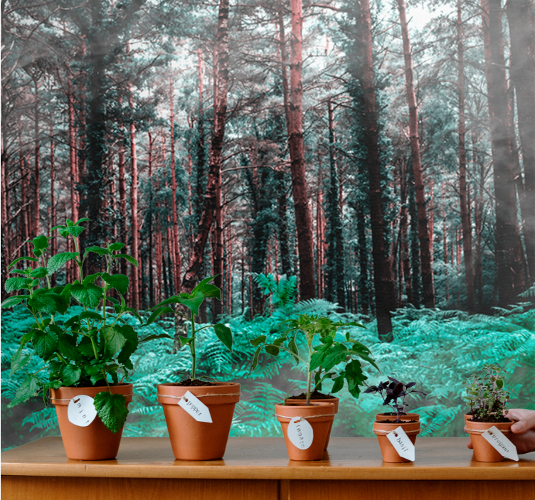 Fototapet natura pădure verde luxuriantă - TenStickers