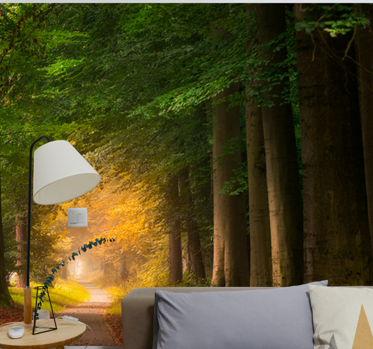 Fototapet natura peisaj cu potecă în pădure - TenStickers