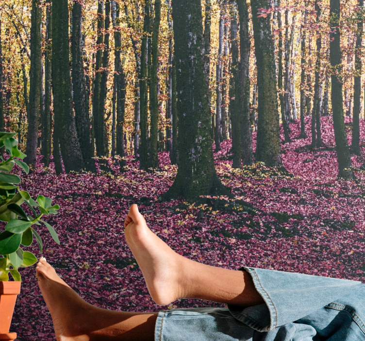 Fototapet natura peisaj liniștit de pădure - TenStickers