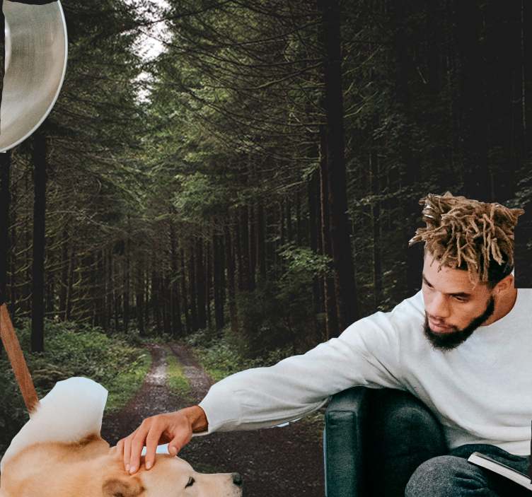 Fototapet natura poteca verde din pădure - TenStickers