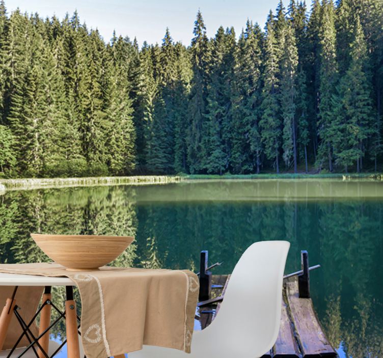 Fototapet natura reflecție liniștită în pădure - TenStickers