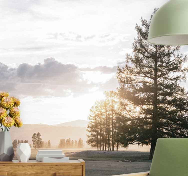 Fototapet natura silueta liniștită de brad - TenStickers