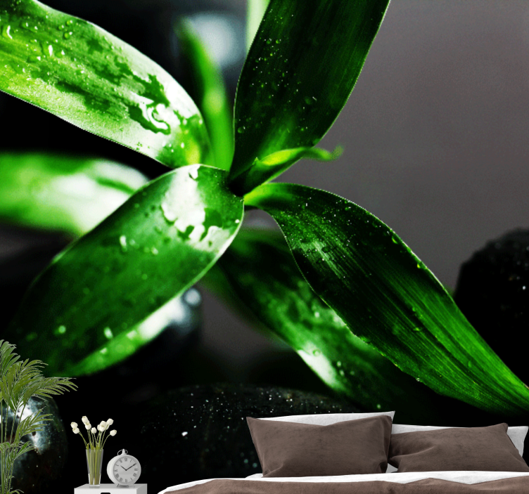 Fototapet natura textură frunze proaspete - TenStickers