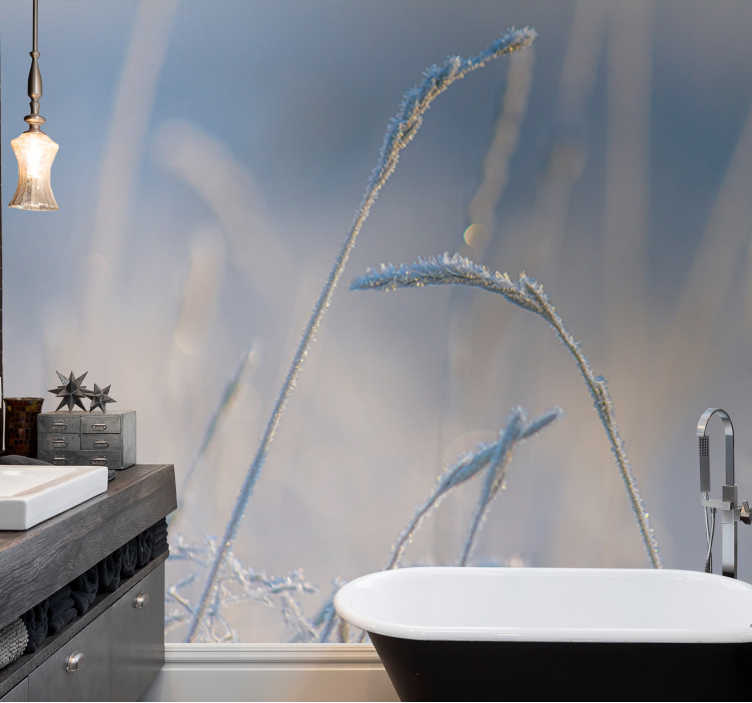 Fototapet natura vârfuri de iarbă înghețată - TenStickers