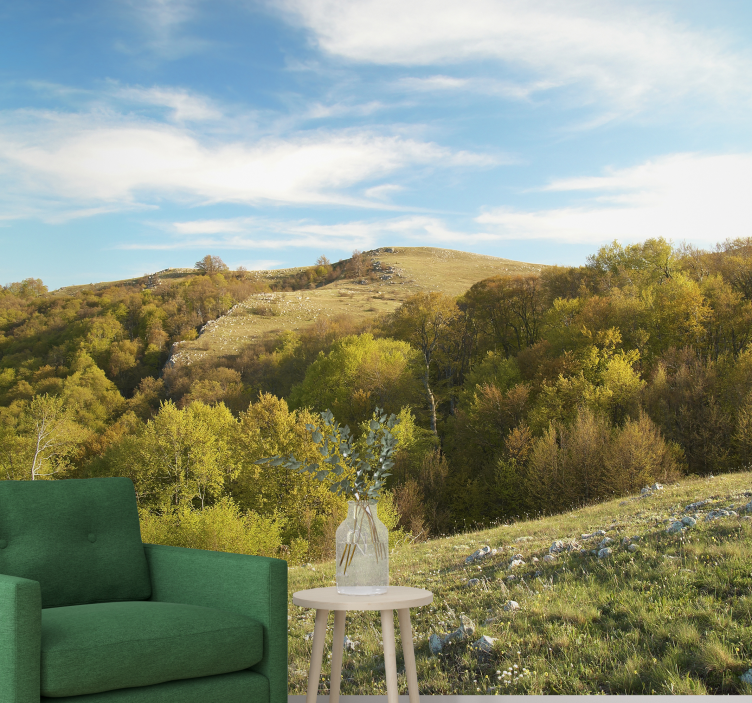 Fototapet peisaje peisaj cu dealuri ondulate - TenStickers