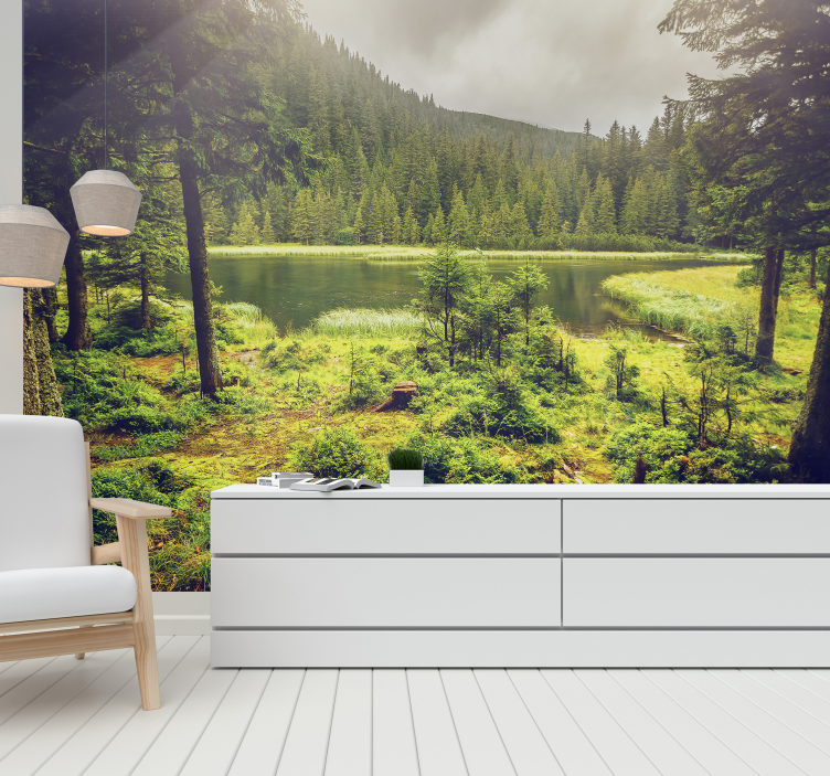 Copaci verzi pădure murală - TenStickers