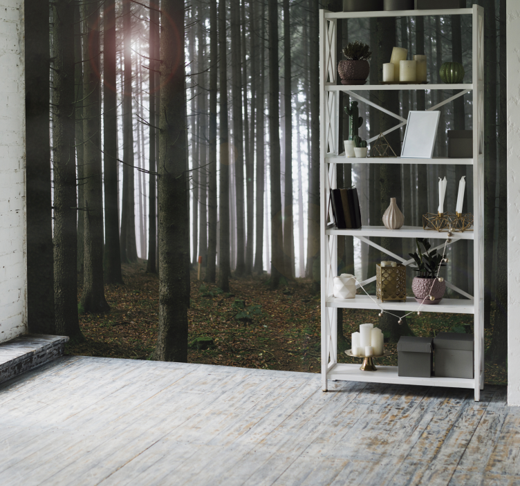 Pictură murală peisaj forestier - TenStickers